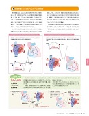平手先生のモニター心電図講座ステップアップ編内容⑧