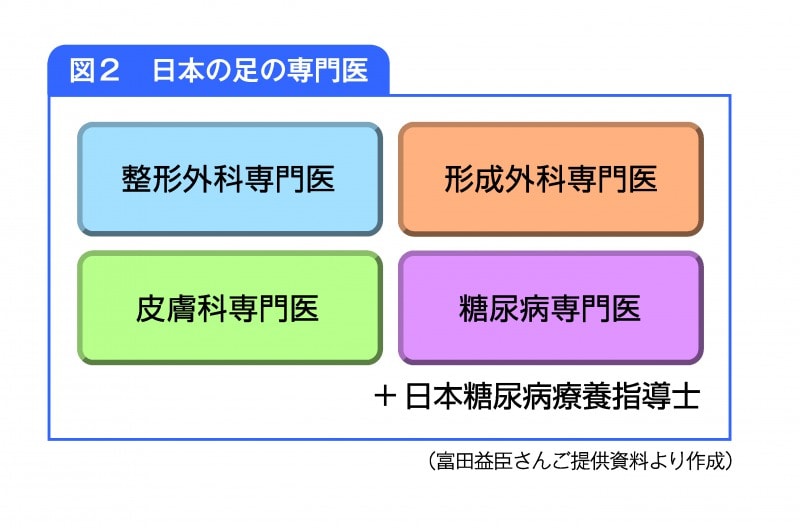 日本の足の専門医分類図