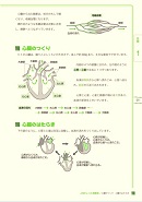 学びなおし「生・物・数・化」内容②