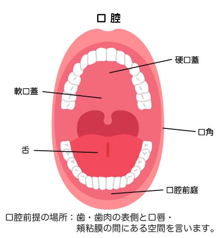 口腔