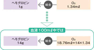 ヘモグロビン結合説明図