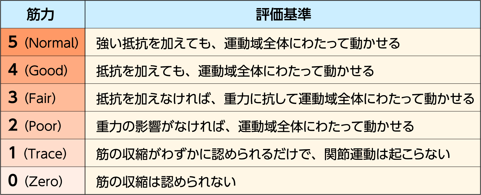 徒手筋力テスト|MMTの補足資料