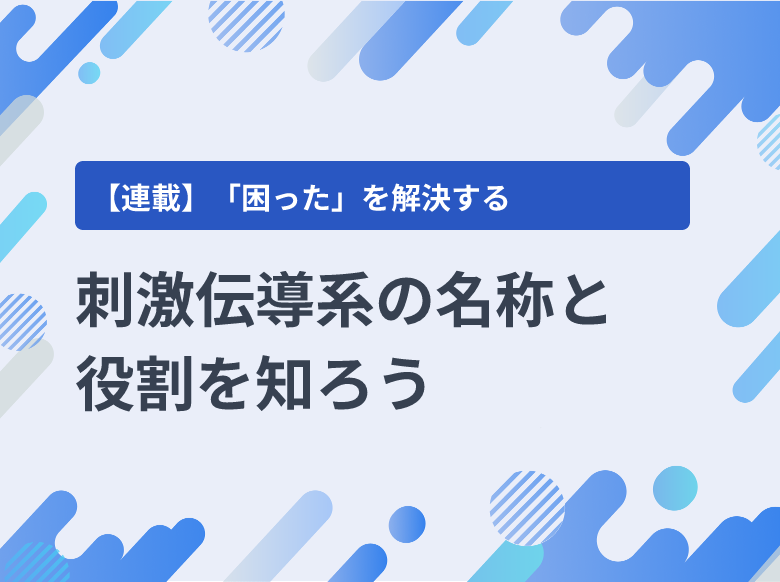 刺激伝導系の名称と役割を知ろう｜検査｜ナース専科 - 看護記事