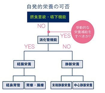 自発的栄養の可否図