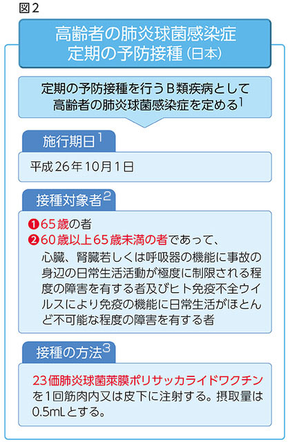 高齢者の肺炎球菌感染症