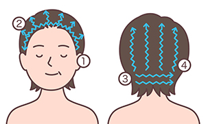 洗髪時の洗う順番