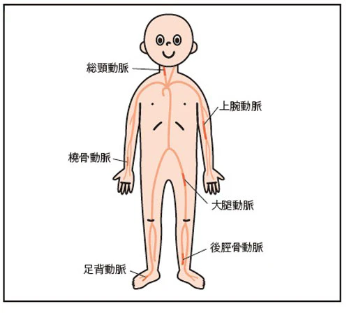 触診部位の選択