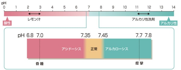 pHの値説明図