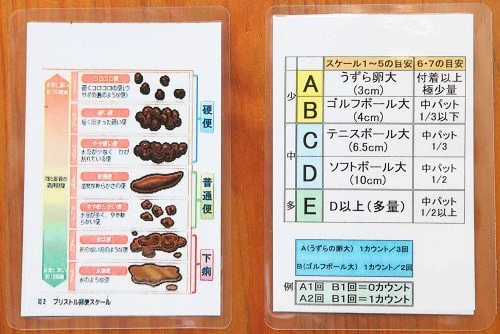 裏表の「排便スケール」。左がブルストルスケール、右がセントスケールの写真