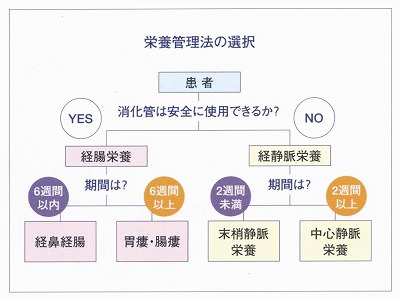 適正栄養管理法の選択説明図