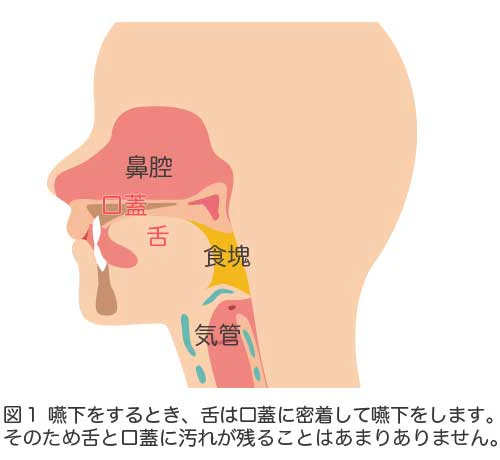 摂食嚥下障害説明イラスト
