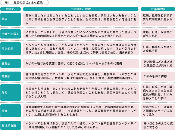 皮膚の症状と主な疾患