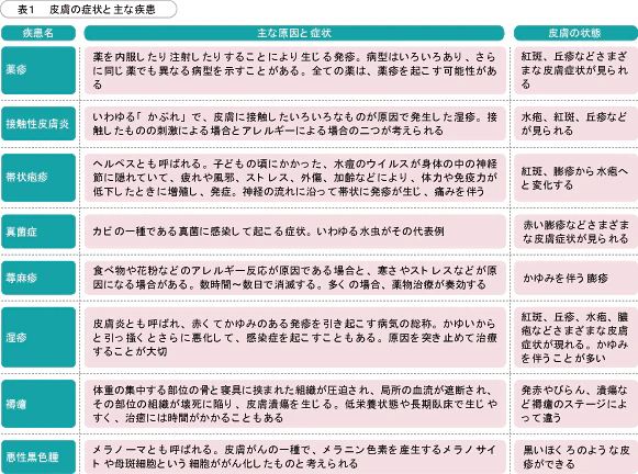 皮膚の症状と主な疾患