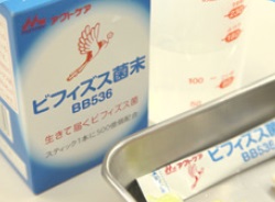ビフィズス菌末BB536の写真