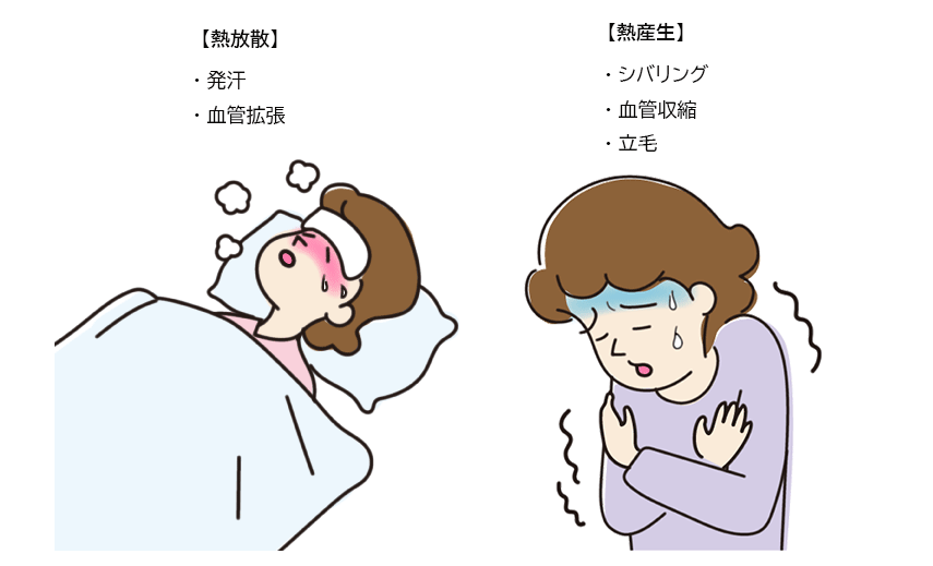 熱放散、熱産生