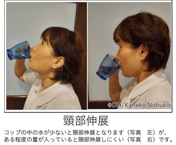頸部伸展説明写真