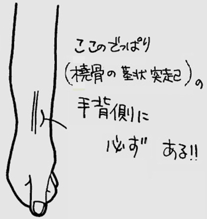 点滴で血管が見つからない時は橈骨の茎状突起