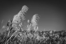 ブログ2記事目です。タイトルです。