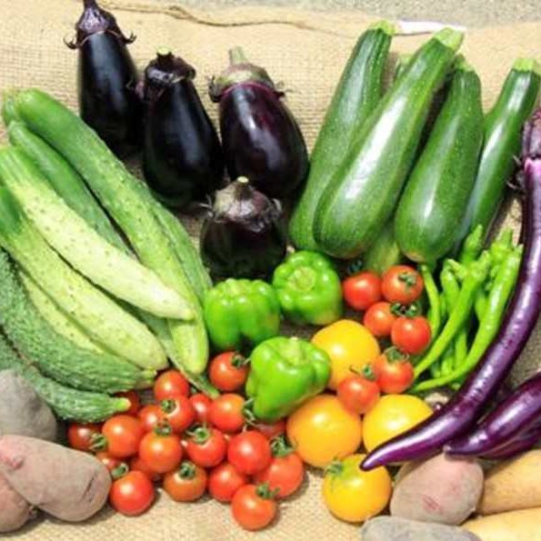 7月2日、自然栽培マルシェ開催。