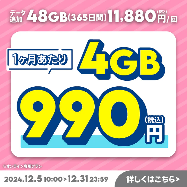 【期間限定】データ追加48GB(365日間)