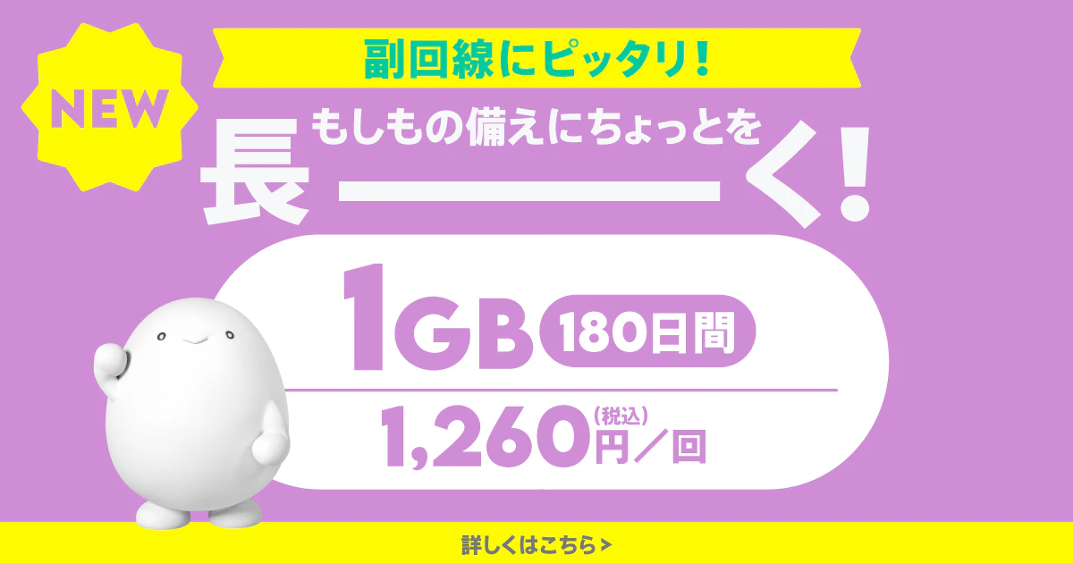 データ追加1GB/180日間