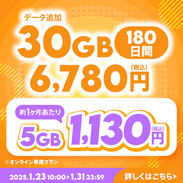 【期間限定】データ追加30GB(180日間)