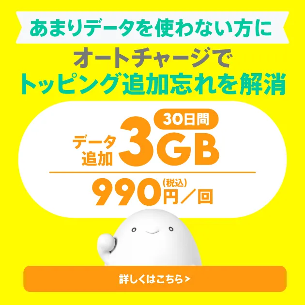 データ追加3GB（30日間）