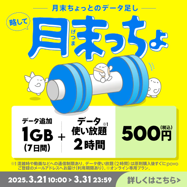 【月末っちょ】データ追加1GB(7日間)+ データ使い放題(2時間)
