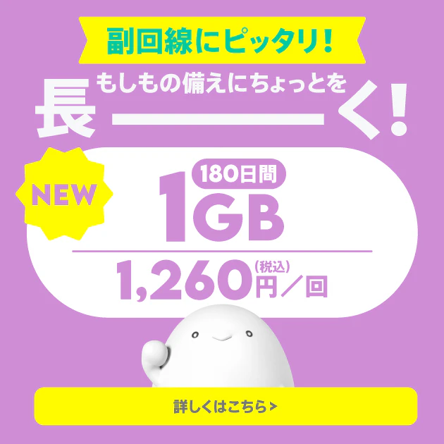 データ追加1GB（180日間）