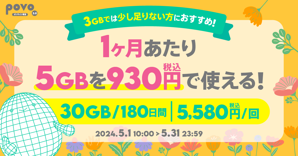 【期間限定】データ追加30GB（180日間）