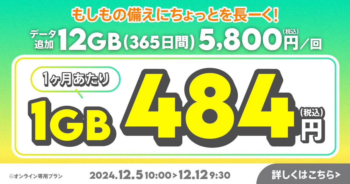 【期間限定】データ追加12GB(365日間)