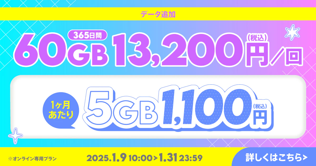 【期間限定】データ追加60GB(365日間)