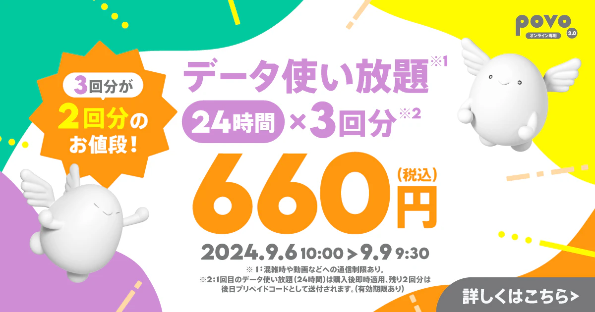 【期間限定】データ使い放題（24時間）3回分