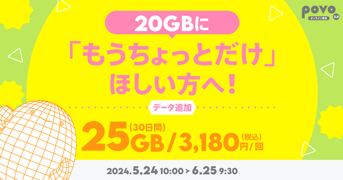 【期間限定】データ追加25GB（30日間）