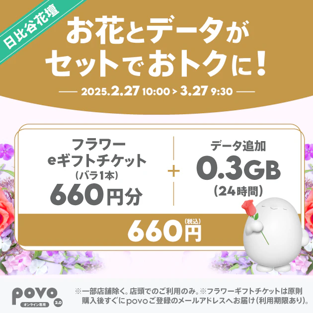 【期間限定】日比谷花壇フラワーeギフトチケット バラ1本分＋データ追加0.3GB(24時間)