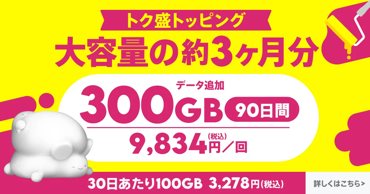 データ追加300GB（90日間）