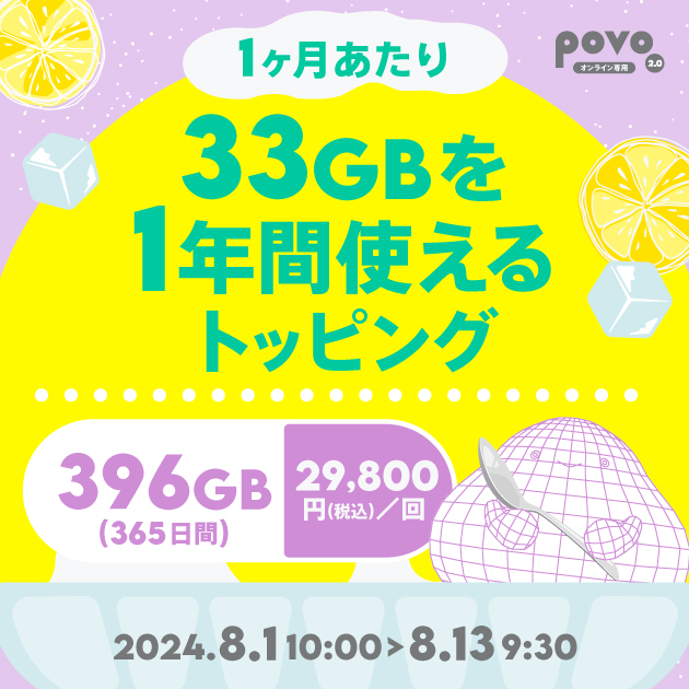 【期間限定】データ追加396GB（365日間）