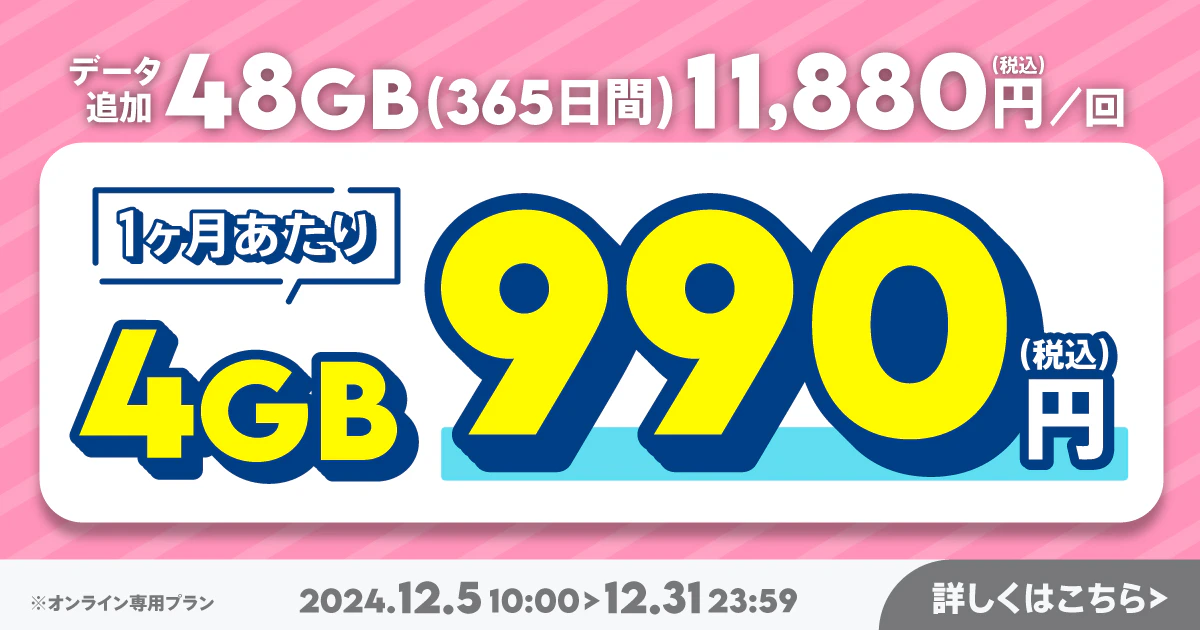 【期間限定】データ追加48GB(365日間)