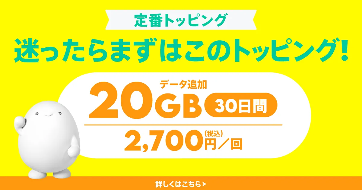 データ追加20GB（30日間）