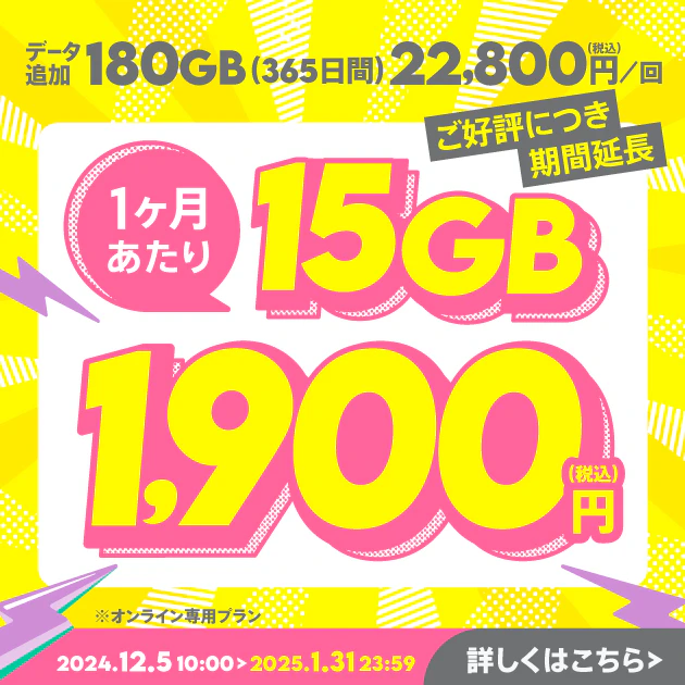 【期間限定】データ追加180GB(365日間)