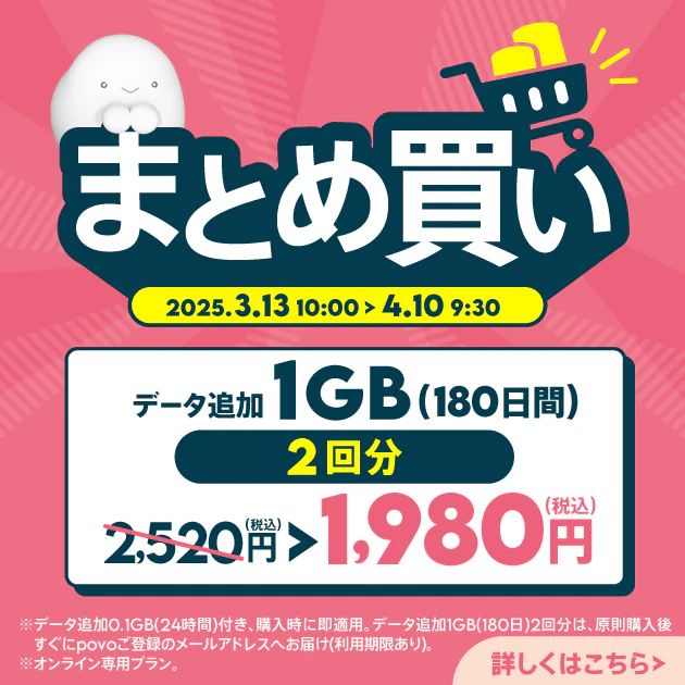 【期間限定】データ追加1GB(180日間)2回分