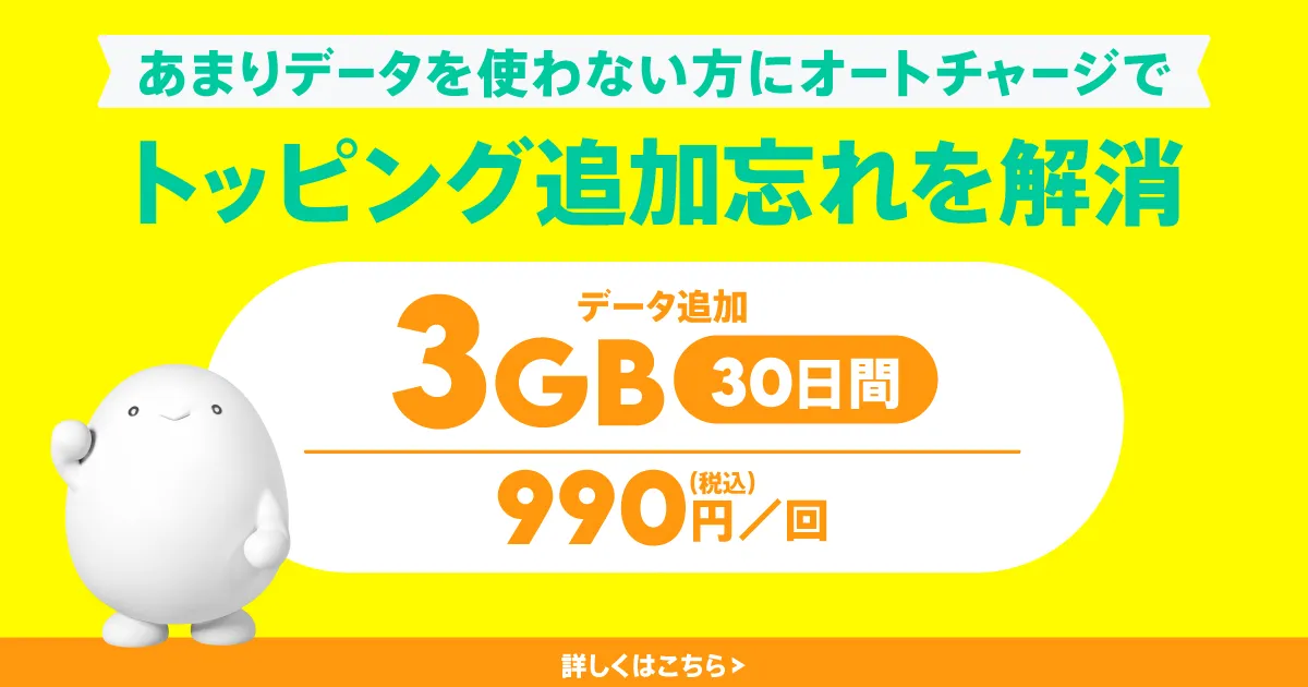 データ追加3GB（30日間）