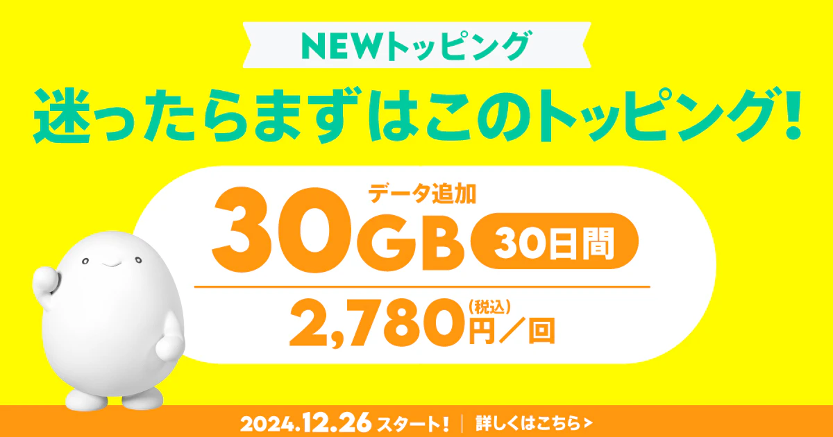 データ追加30GB（30日間）