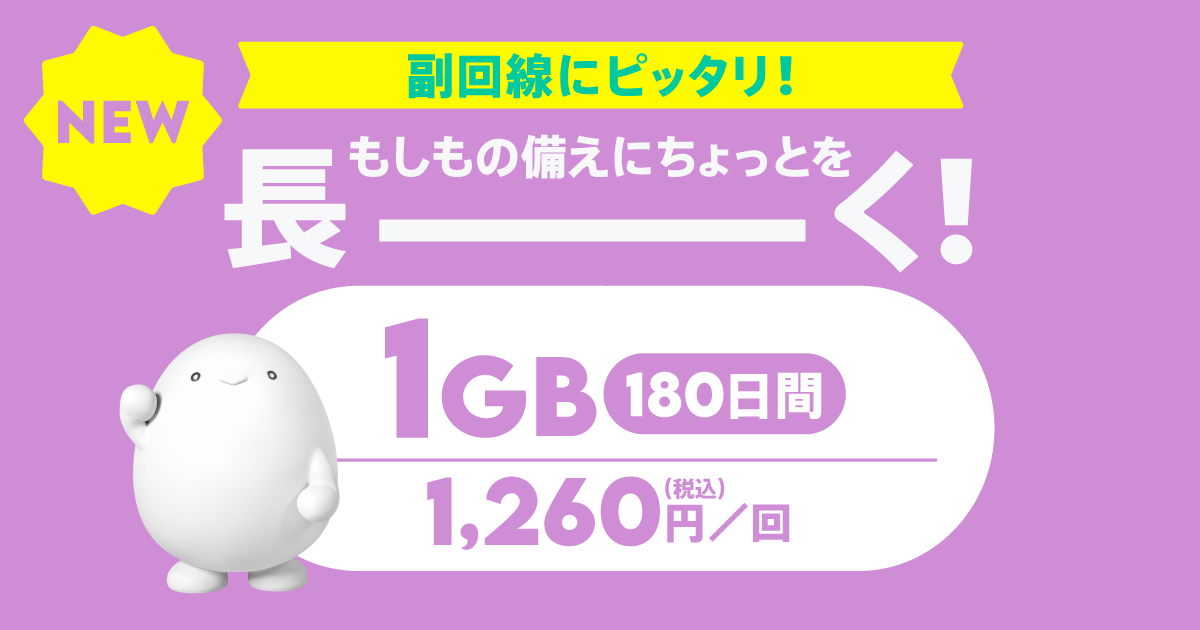 データ追加1GB（180日間）