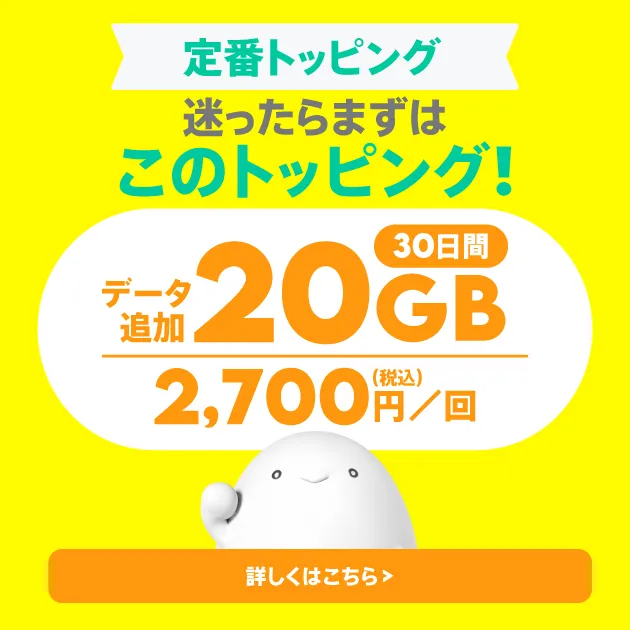 データ追加20GB（30日間）