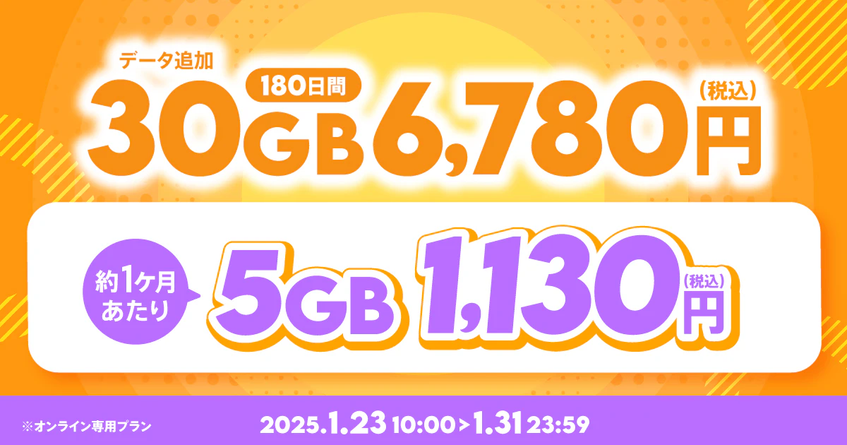 【期間限定】データ追加30GB(180日間)