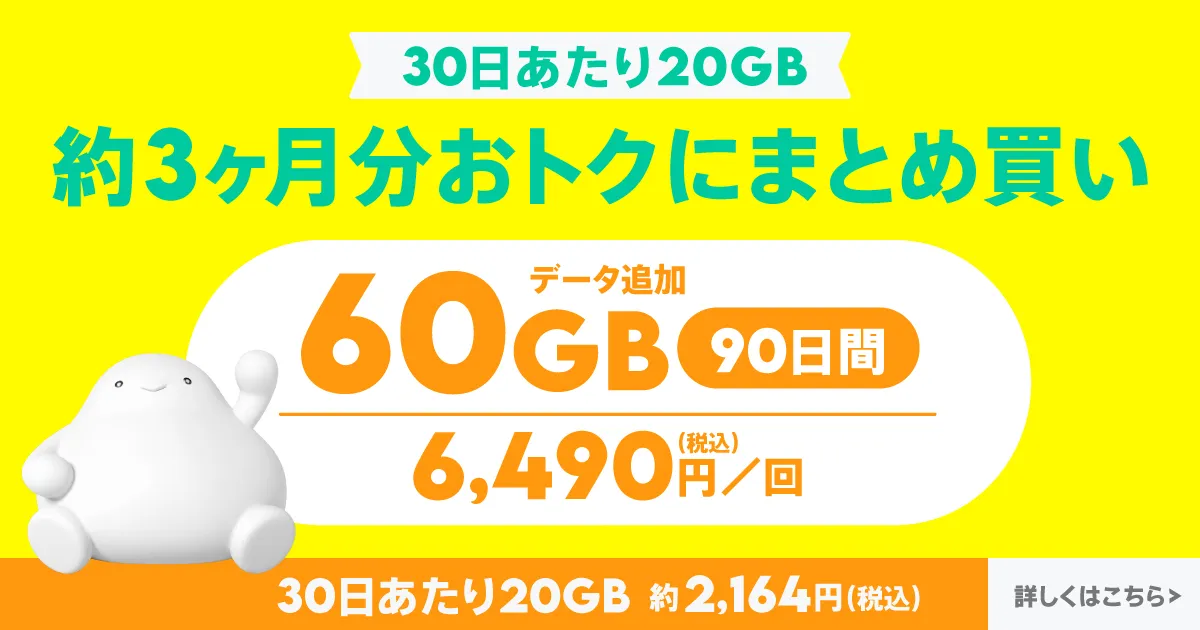 データ追加60GB/90日間