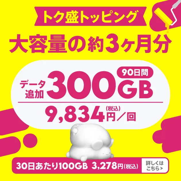 データ追加300GB/90日間