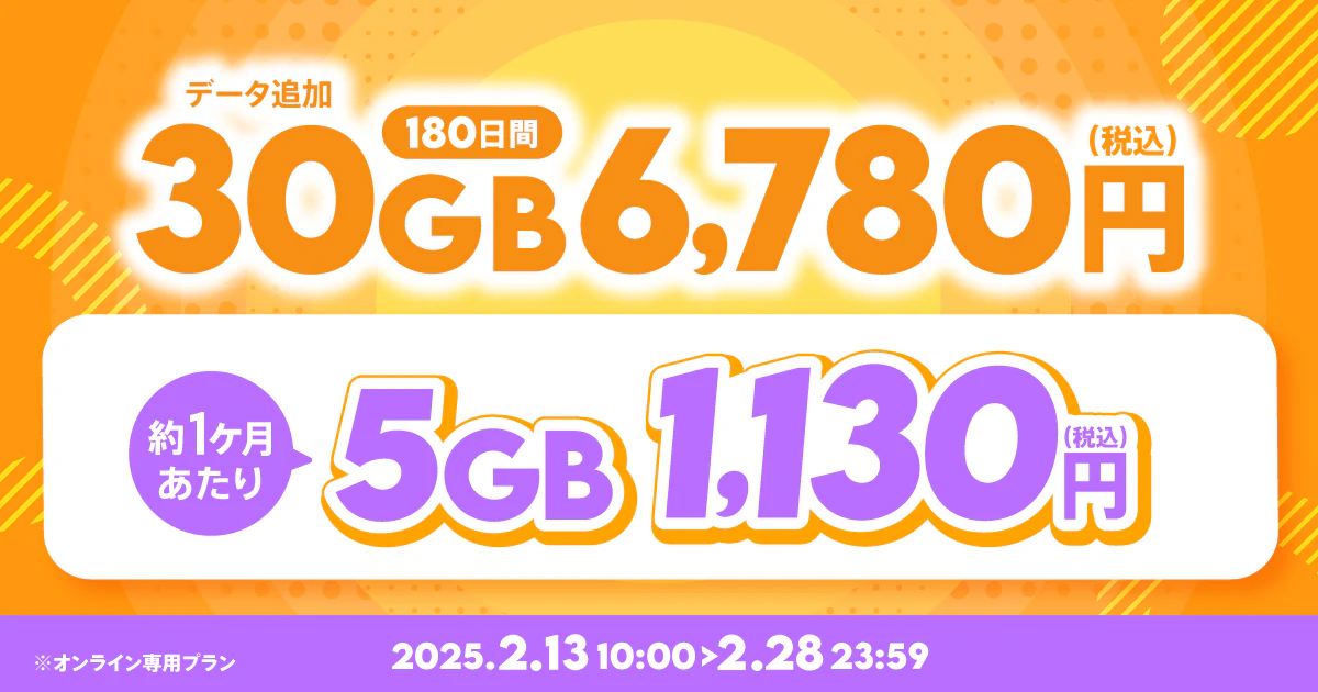 【期間限定】30GB(180日間)