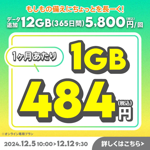 【期間限定】データ追加12GB(365日間)